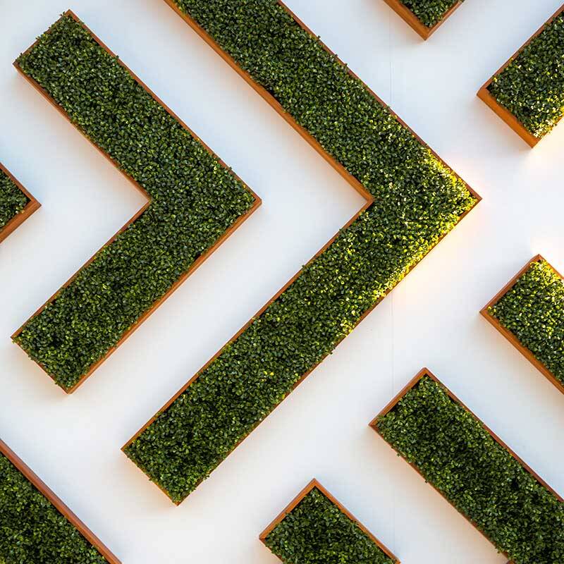 Flèches végétales accrochées sur un mur blanc