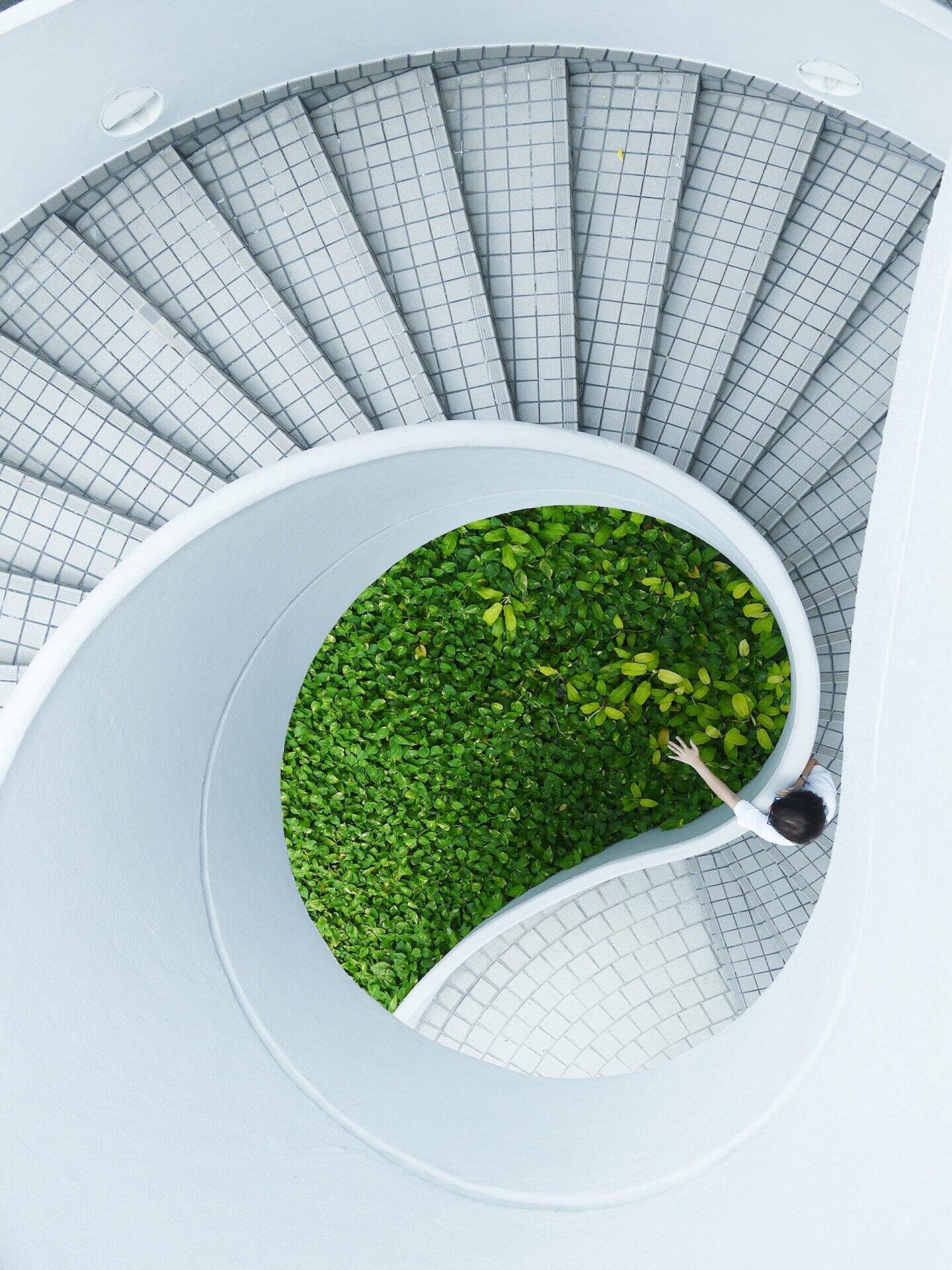 escalier qui mène à une pelouse